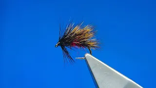 Tying a Sedgehog Bibio with Davie McPhail