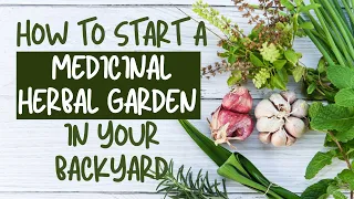 Start a Medicinal Herbal Garden in your Backyard: Unlock Medicinal Herbals