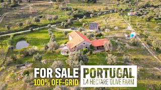 1.4 Hectare OFF-GRID Homestead FOR SALE Aldeia do Bispo, PENAMACOR (Central Portugal - Real Estate)