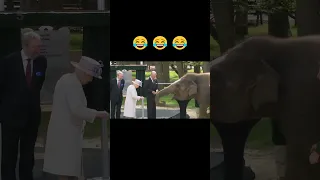Queen and Prince Philip feed the elephant and the funny moment right after #shorts #queenelizabeth