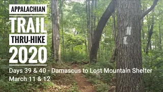 2020 Appalacbian Trail Thru-hike: Days 39 & 40 - Damascus to Lost Mountain Shelter