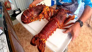 Crayfish (Southern Rock Lobster) Catch and Cook