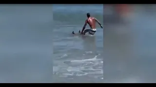 Dieser Mann rettet einen Hai mit bloßen Händen vor dem Ertrinken