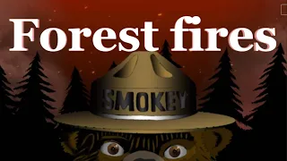 Forest Fires