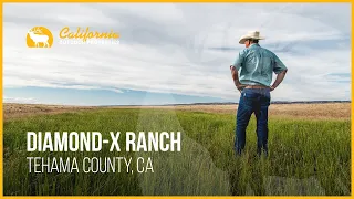 Diamond X Ranch | Tehama County, CA