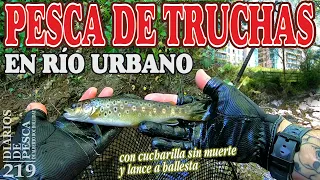 PESCA DE TRUCHAS EN RÍO URBANO con cucharilla sin muerte y lance a ballesta [Fishing in urban river]