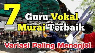 7 Jenis burung masteran murai batu terbaik