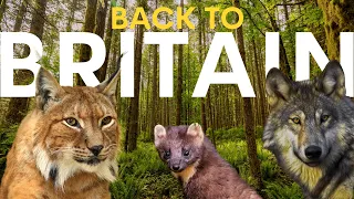 7 Animals That Will Transform the UK
