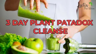 How to do the Plant Paradox 3-Day Cleanse