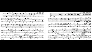 Schubert - Fantaisie in F minor, D940 - Duo Tal & Groethuysen Piano