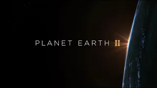 Planet Earth II Soft Suite