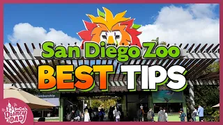 10 BEST San Diego Zoo Tips You NEED to Know in 2023