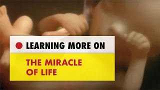 ✅ The Miracle of Life