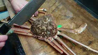 RAW LIVE Crab Cutting Japan | How To Make Crabs Sashimi