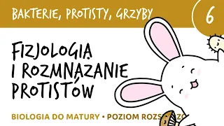 Fizjologia i rozmnażanie protistów, koniugacja, osmoregulacja - biologia do matury liceum