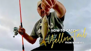 How To Catch Yellowtail From Wharves