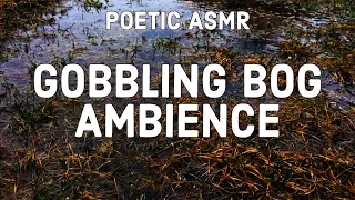 🌾 Poetic ASMR - The Gobbling Bog (Bog ambience with water sounds, mouth sounds, bubble sounds) 🌾