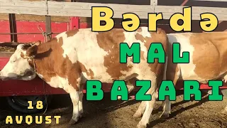 Bərdə mal bazarı 18.08.2023.050.571.71.57