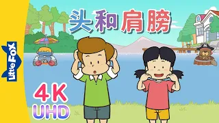 [4K] 头和肩膀 (Head and Shoulders) | Sing-Alongs | Chinese song | By Little Fox