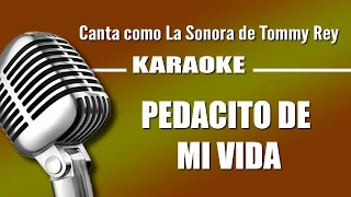 Pedacito de mi Vida, con letra - La Sonora de Tommy Rey karaoke