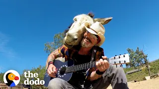 Donkey Snuggles Into Guy's Shoulder Every Time He Plays Guitar | The Dodo Soulmates