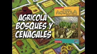 Agricola - Bosques y Cenagales: Cómo Jugar/Tutorial | Expansión