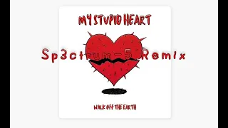 Walk Off The Earth - My Stupid Heart | Sp3ctrum-5 Remix