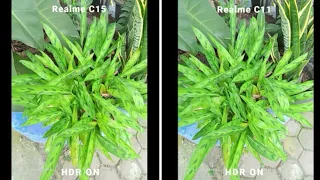 Realme c15 vs realme c11 camera test | US tech
