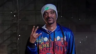 Snoop Dogg, Ice Cube, DMX - Insane (Song)