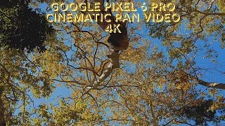 Google Pixel 6 Pro| Cinematic Pan| Cinematic Video| 4K| Sorta Sunny| Griffith Park| Los Angeles, CA