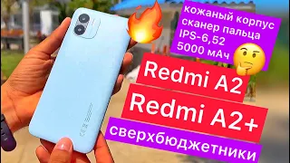 New Redmi A2 and Redmi A2+ super budgets: cheap, leather case, finger scanner, IPS-6.52 5000 mAh