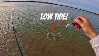 Wade Fishing Winter's LOW Tide! (Corpus Christi, Tx)