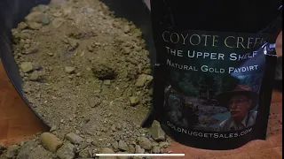 Gold Nugget sales Coyote Creek The Upper Shelf Paydirt Review