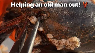 Old man at the claw spa! 🦞