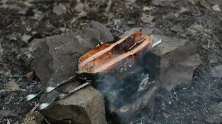 Bushcraft Campfire Salmon Steak | Building A-Frame Wrapped Survival Shelter
