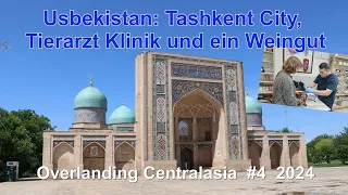 Hunde Notfall ! Wo finden wir einen guten Tierarzt in Usbekistan ? / Overlanding Centralasia #4 2024