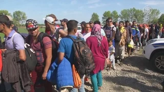 Хорватия грозит закрыть границы из-за мигрантов (новости)
