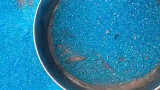color glass beads production process