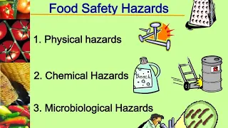 Type of Food Hazards Physical, Chemical, Biological & Allergens, Food Safety for beginners