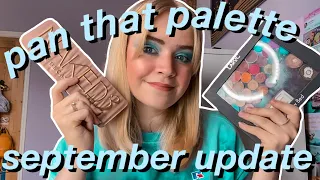 PAN THAT PALETTE 2021 UPDATE SEPTEMBER | pan that face palette + pan that eyeshadow palette progress