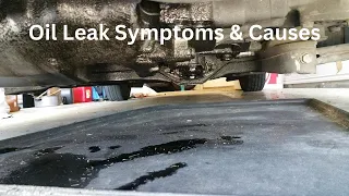 OIL LEAK SYMPTOMS AND CAUSES | HOW TO FIND OIL LEAKS