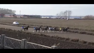 ЗАЕЗД 2Х ЛЕТОК НА ИППОДРОМЕ КУЛАГЕР БИШКУЛЬ(ПЕТРОПАВЛОВСК)/2020.