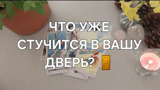 ⚡️ С МИНУТЫ НА МИНУТУ🧡