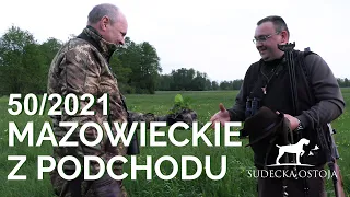 SUDECKA OSTOJA 50/2021. Polowanie na rogacze w kole "Świt". Hunting in Poland