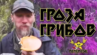 MEMEMETAL - Гроза Грибов (feat. Грибабас / Грибобас)