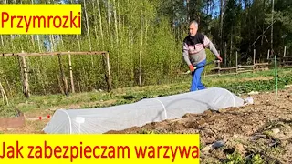 Zabezpieczam warzywa przed zimnem