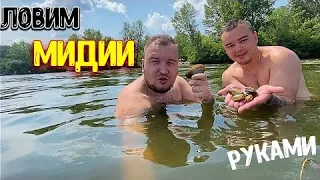 Ловим МИДИИ РУКАМИ / Много ЗМЕЙ / Река ДНЕПР