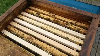 Расширение гнезда в многокорпусном улье.Наращивание пчелы в десяти рамочном улье на три корпуса .