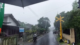 Walking in the Beauty of Heavy Rain | Heavy Rain Sounds for Insomnia | Rural Atmosphere 🇮🇩