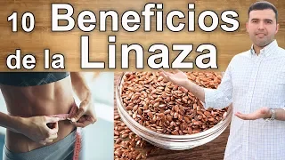 Para Que Sirve la Linaza – 10 Beneficios y Propriedades Que Debes Conocer